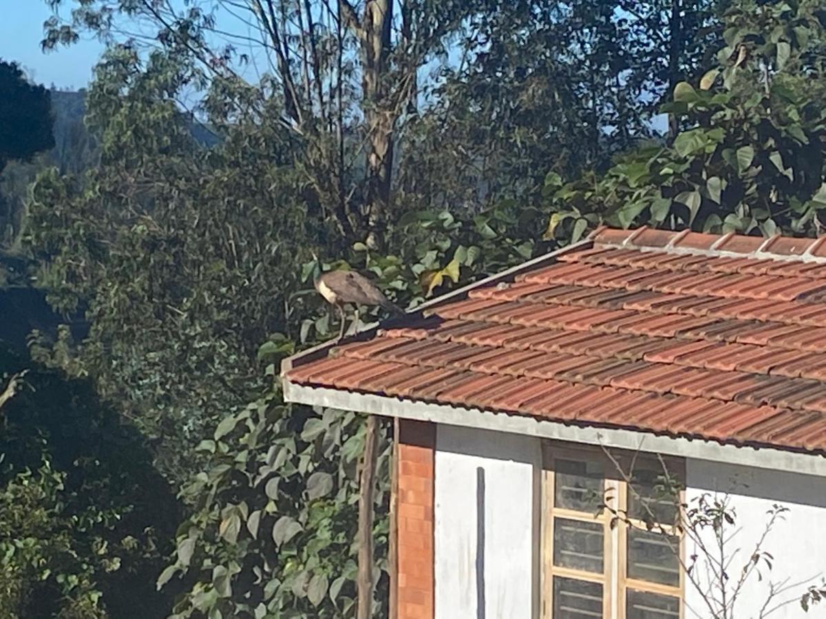 Kanjira House Ooty Ngoại thất bức ảnh