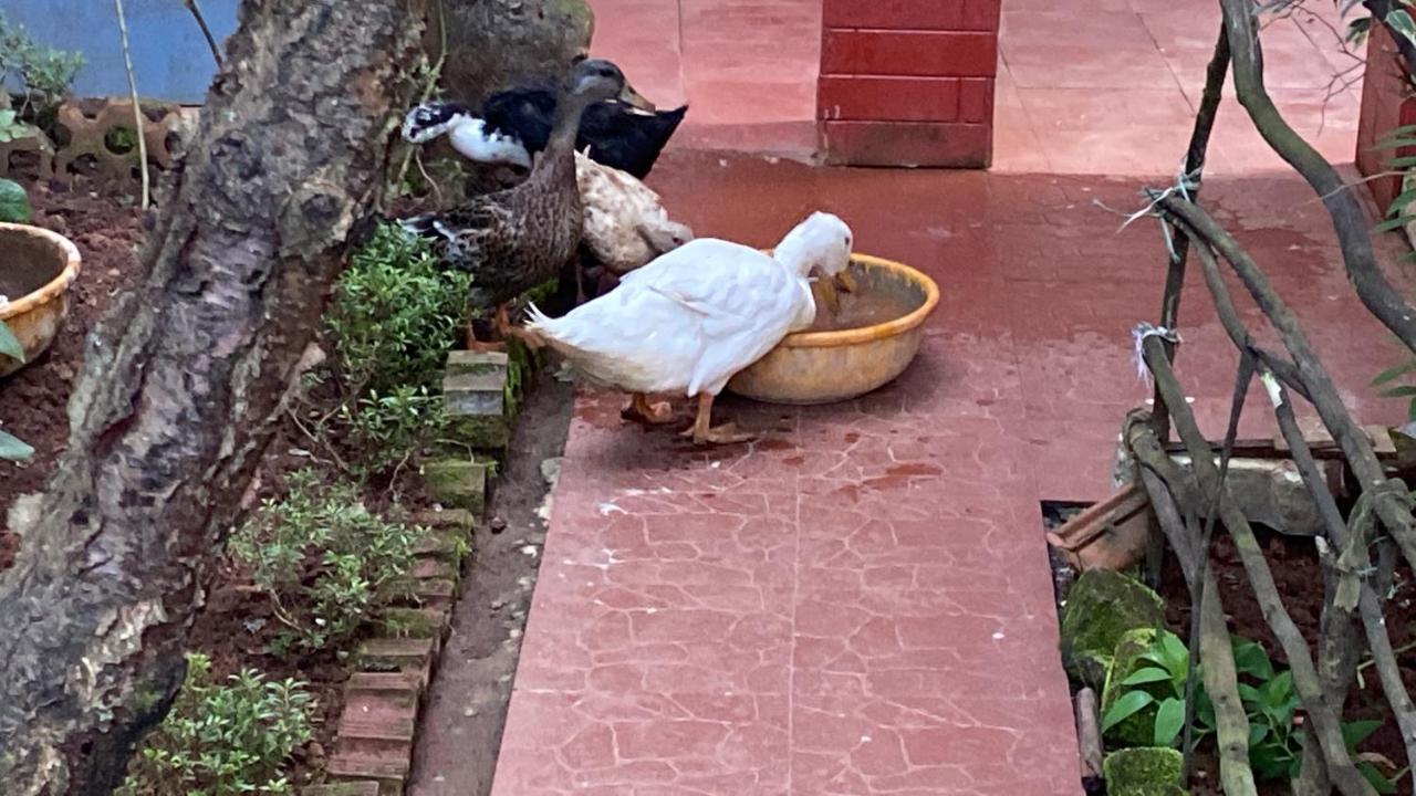 Kanjira House Ooty Ngoại thất bức ảnh