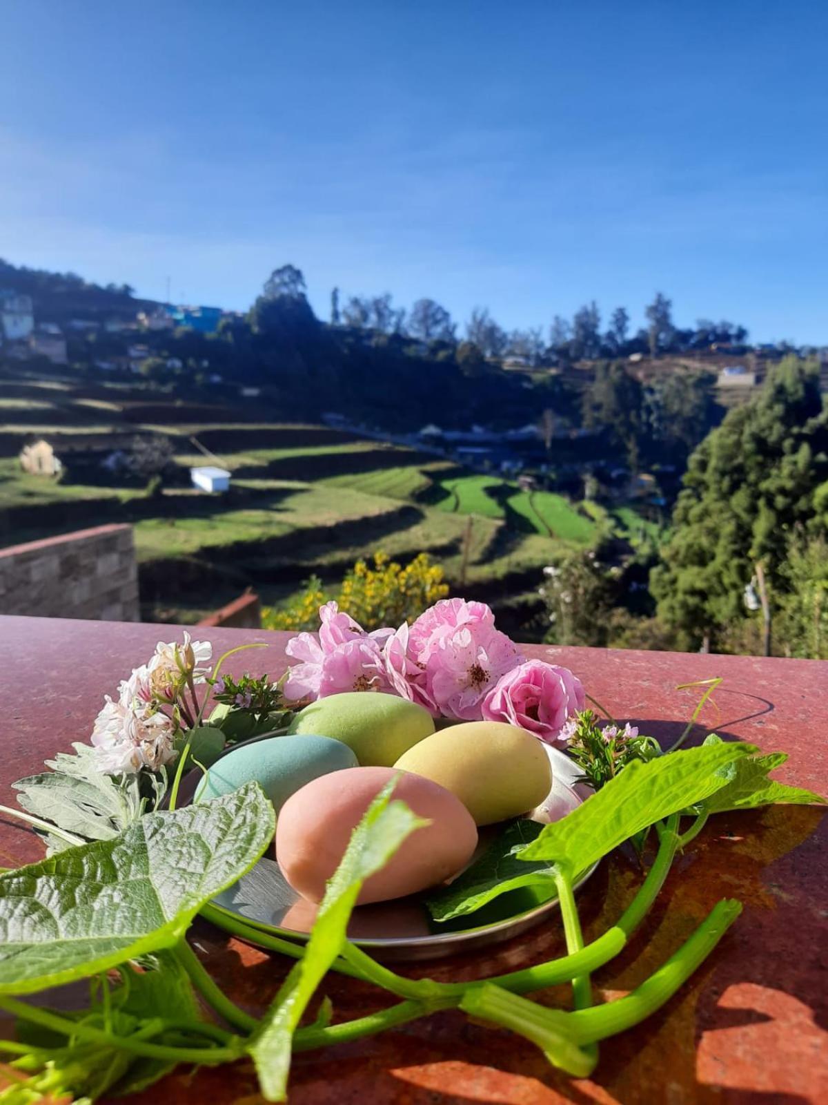 Kanjira House Ooty Ngoại thất bức ảnh