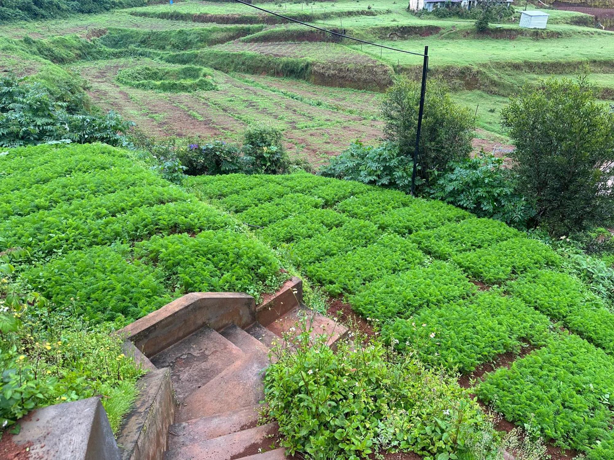 Kanjira House Ooty Ngoại thất bức ảnh